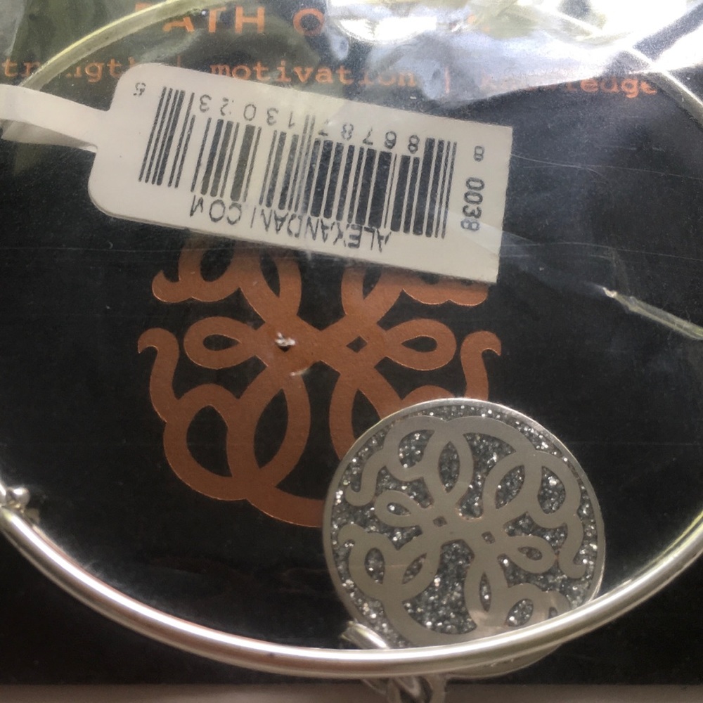 ❌SOLD❌ Alex and Ani Color Infusion Path of Life